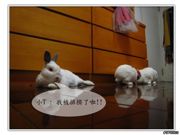 大家會不會幫自家寵物編故事-(亂編一通-----圖多)