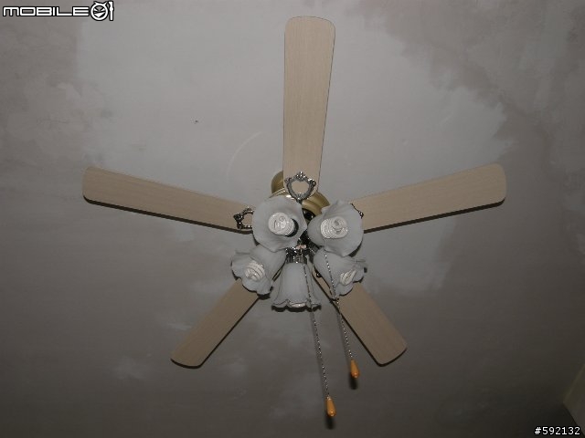 DIY裝吊扇~~~套管膨脹螺絲使用求解....已解決