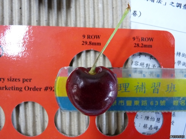 ﹝開箱文﹞不是只有用品才是逸品喔~~