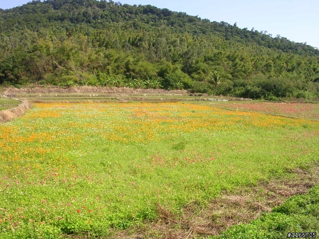 黑金環島登武嶺十日遊^^
