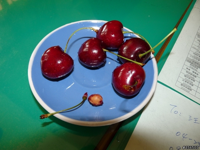 ﹝開箱文﹞不是只有用品才是逸品喔~~