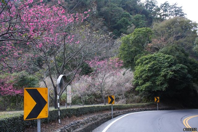 原厰新勁戰三橫環半島09.01.12-01.15...圖多小心