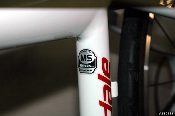 環島限定--『公路協力車』Cannondale Tandem 2