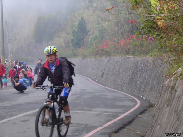 6度C的藤枝+石山林道