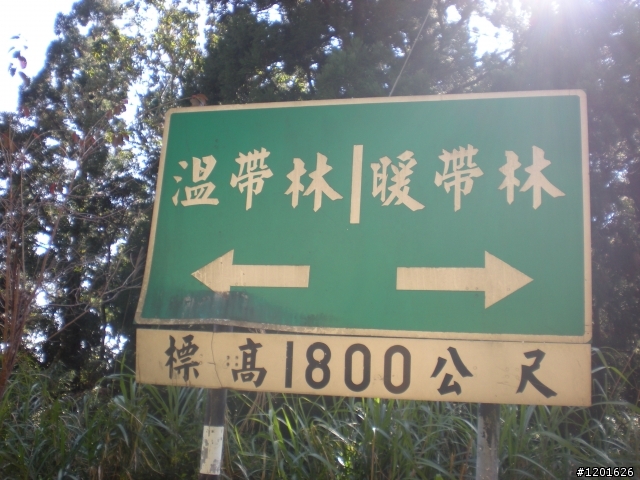 阿里山單車行