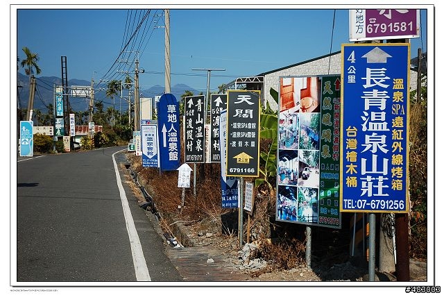 寶來竹林賞梅