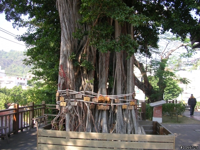 黑金環島登武嶺十日遊^^