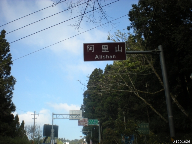 阿里山單車行