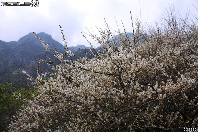 原厰新勁戰三橫環半島09.01.12-01.15...圖多小心