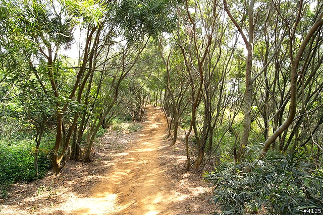 胖的大肚山 Off Road 體驗
