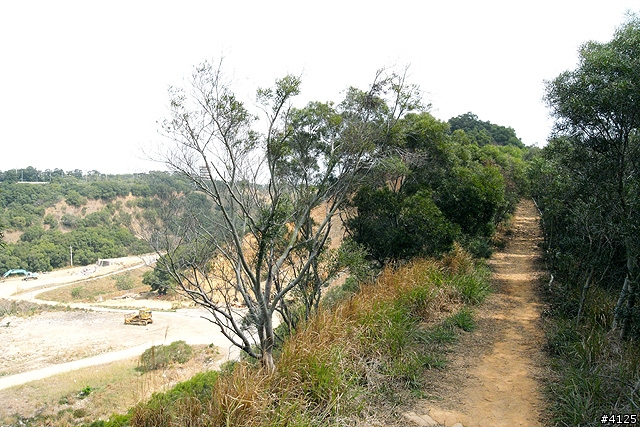 胖的大肚山 Off Road 體驗