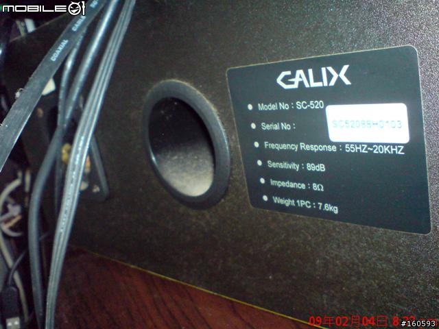 過年前從樓下垃圾堆認養回來的CALIX