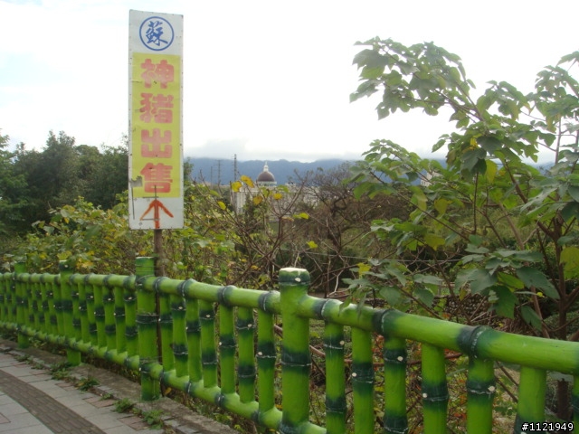 年假三坑加石門水庫輕鬆騎