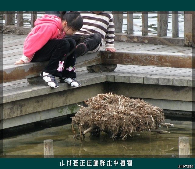 【映像騎旅】2月8日關西太和宮媽祖繞境紀實