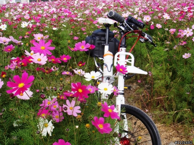 2009 SPINBURN SOLO環島記
