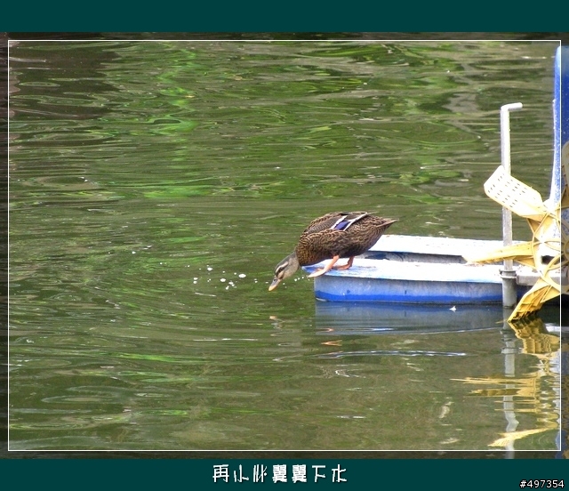 【映像騎旅】2月8日關西太和宮媽祖繞境紀實
