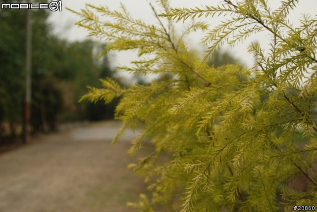 D80 + 20-35mm 35-70mm ZF_50mm