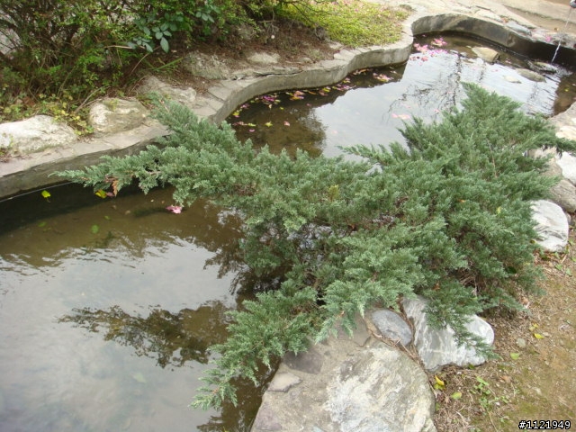 年假三坑加石門水庫輕鬆騎