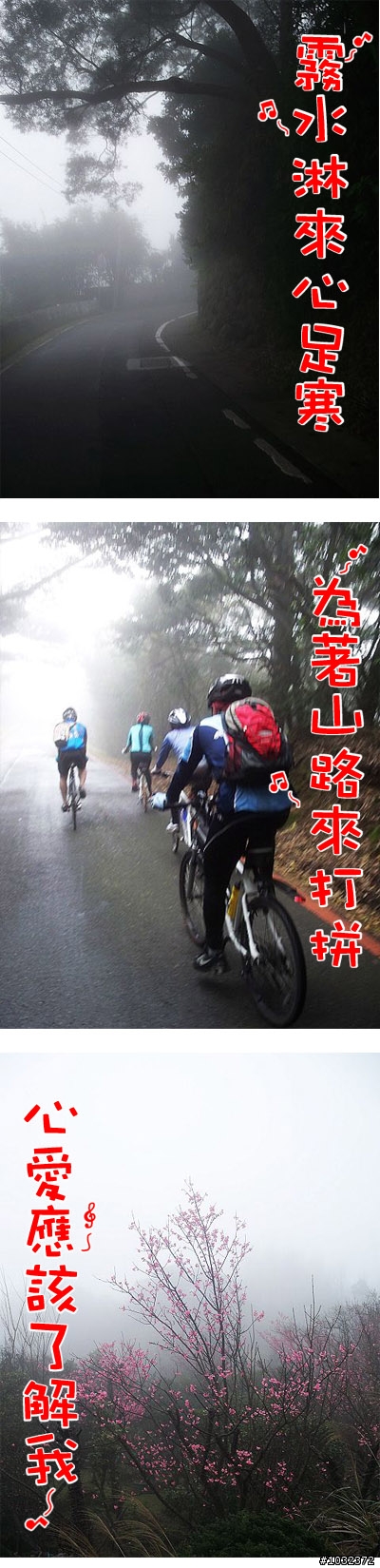 巴拉卡公路 ~騎車人的純情曲