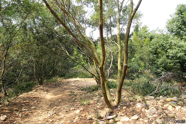 胖的大肚山 Off Road 體驗