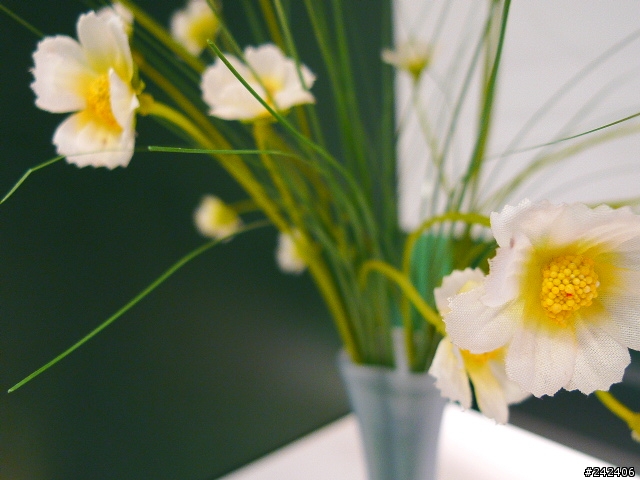 隨身機殺手PANASONIC LX3,開箱文暨實測心得