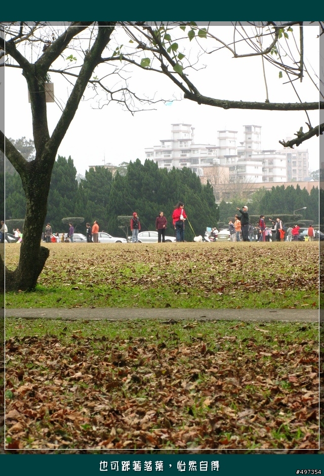 【映像騎旅】2月8日關西太和宮媽祖繞境紀實