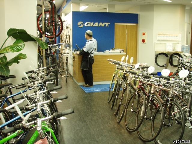 //分享//日本自行車店//捷安特直營店 Lifestyle
