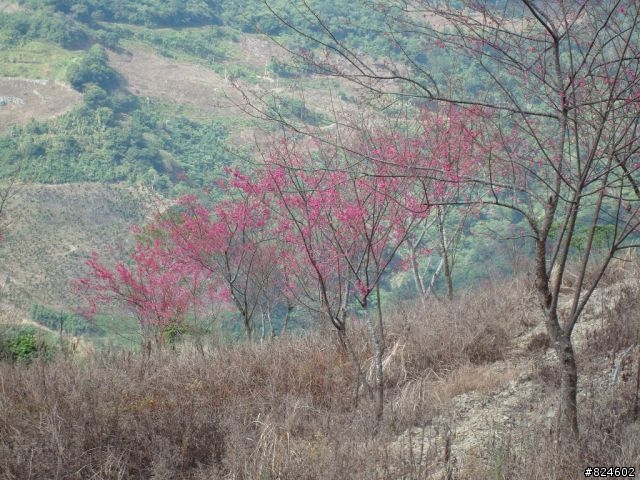 男人, 一輩子總該來次 單人環島