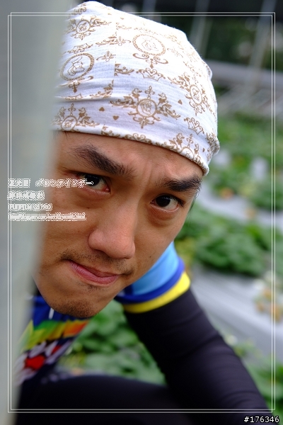 バレンタインデー看草莓 被閃記 以補上全部照片的連結 6百多張