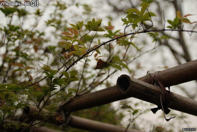 D80 + 20-35mm 35-70mm ZF_50mm