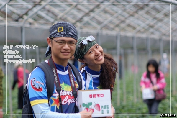 バレンタインデー看草莓 被閃記 以補上全部照片的連結 6百多張