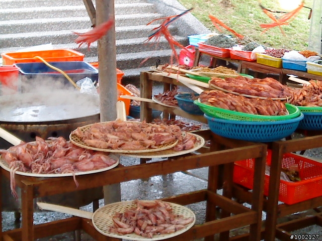 雙溪鄉泰平村之半路回家櫻花開滿天