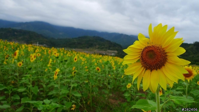 隨身機殺手PANASONIC LX3,開箱文暨實測心得