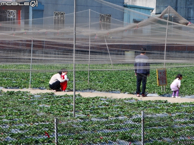 2009 新春環島行 DAY4/4 (台北~彰化~高雄~花蓮~台北)