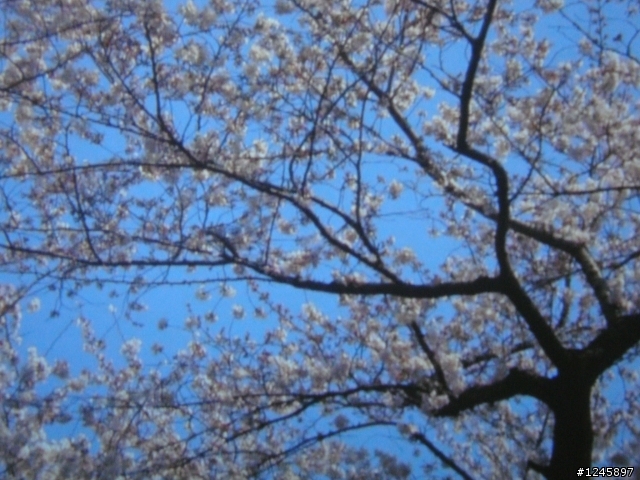 分享畫質進化的秘密史上最超值FULL HD 1080P投影機OPTOMA HD803