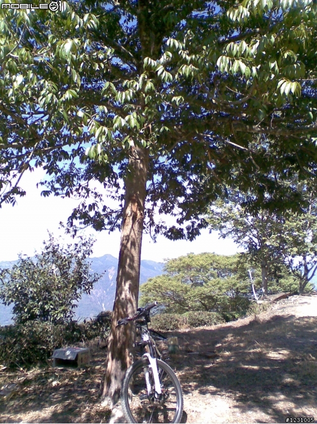 美輪山/二集團/藤枝/不老溫泉之阿波卡獵逃(補新照片)