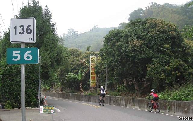 台中市 中興嶺→新社→台21線→天冷→國姓→136縣道→台中