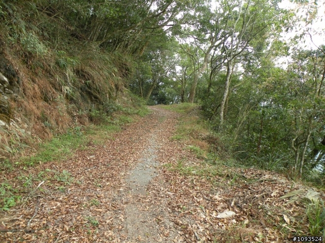 沙溪林道騎到沒路(36K)