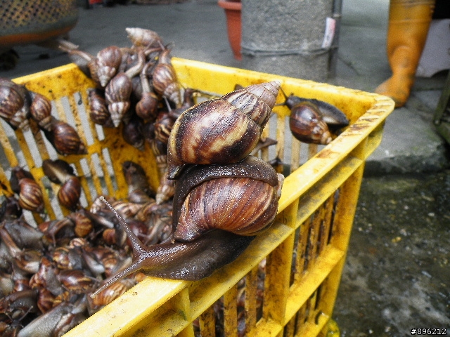 不負責之三鐵環島(小折花東墾丁輕鬆騎)