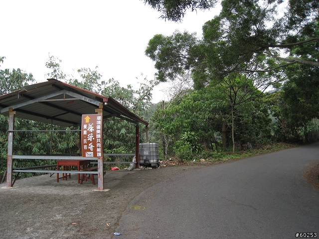 南投縣 名間→二水→松柏嶺→名間