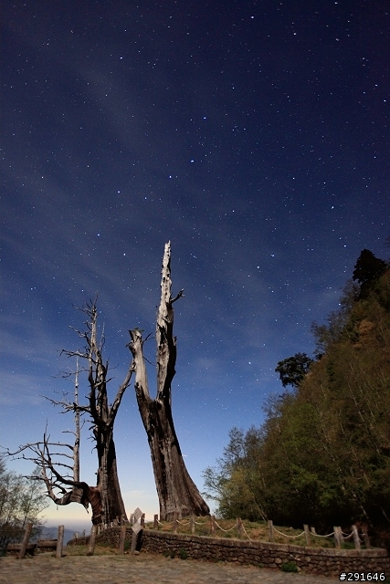 5DII 高山長曝星軌及高ISO夜空測試(夫妻樹、合歡山)
