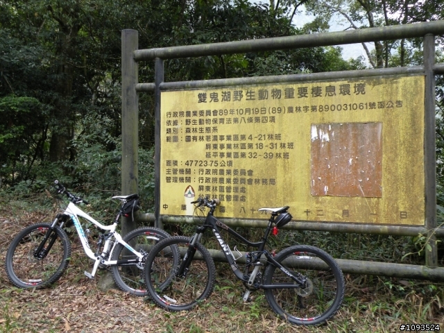 沙溪林道騎到沒路(36K)
