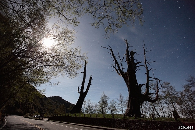 5DII 高山長曝星軌及高ISO夜空測試(夫妻樹、合歡山)