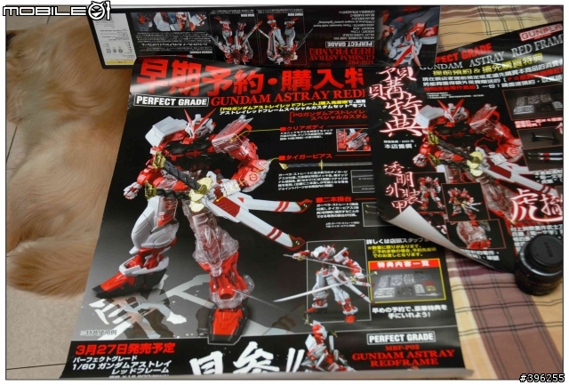 PG 1/60初回限定版紅色異端開箱文