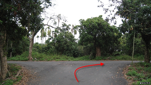 嘉義縣 竹崎→瑞水公路→瑞里→瑞峰→太興→瑞水公路→竹崎