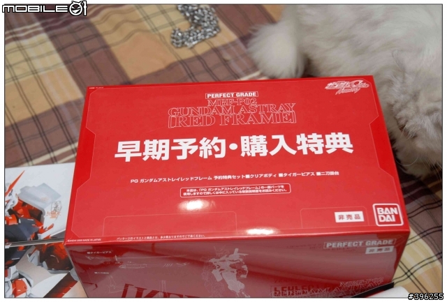 PG 1/60初回限定版紅色異端開箱文