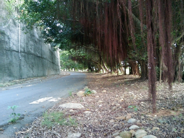 今天下午沒班~!跑去都會又去鰲峰山公園