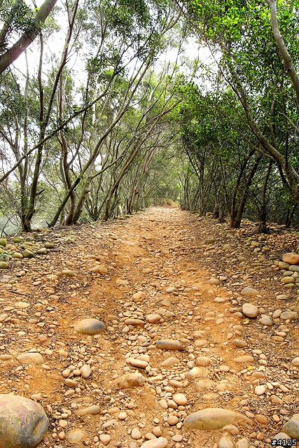 胖的大肚山 Off Road 體驗