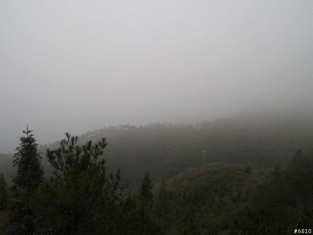 廈門西坑之大霧濛濛