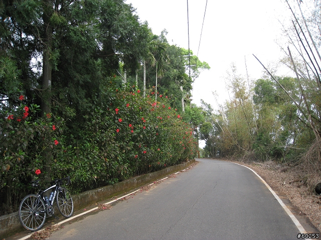 南投縣 名間→二水→松柏嶺→名間